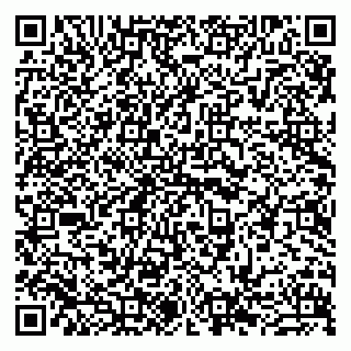 vCard 79841753331