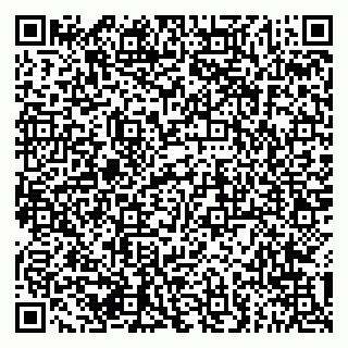 vCard 79841753804