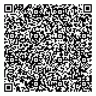 vCard 79842800138