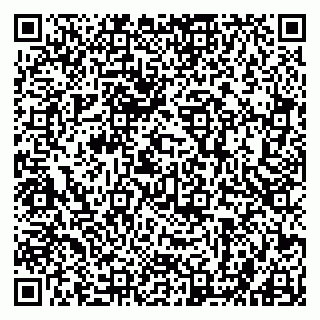 vCard 79842800381