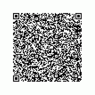 vCard 79848885203