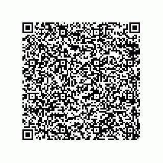 vCard 79848885209