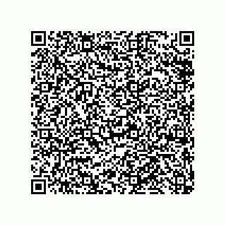 vCard 79848885273