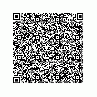 vCard 79848885382