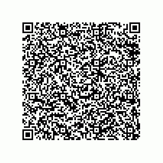 vCard 79848885387