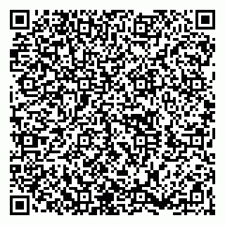 vCard 79860001331