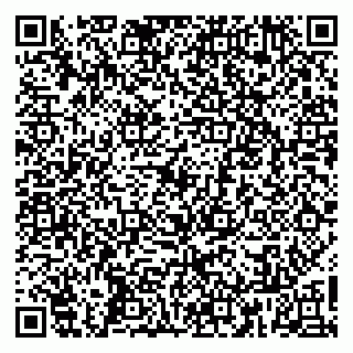 vCard 79860001411