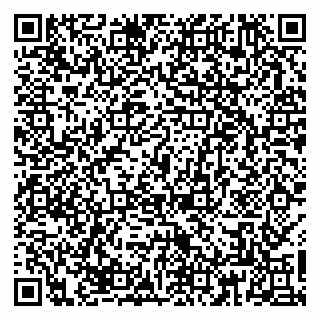 vCard 79867300027