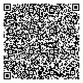vCard 79867300029