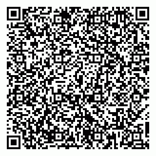 vCard 79867300038