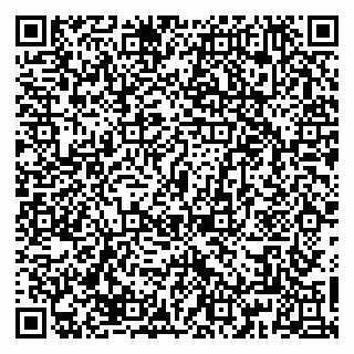 vCard 79867300384