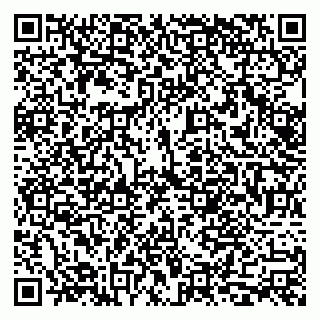 vCard 79867700285