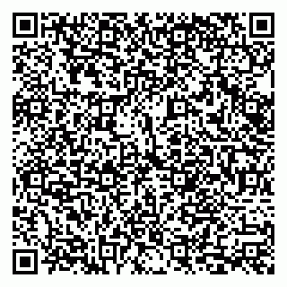vCard 79867700380