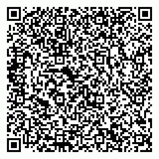 vCard 79867700384