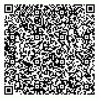 vCard 79867700390