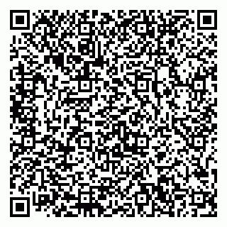 vCard 79867700403