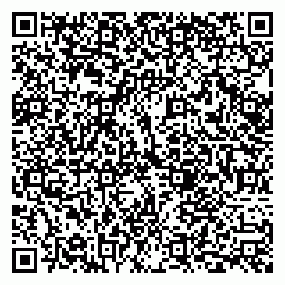 vCard 79867700409