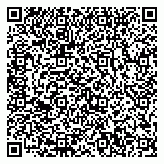 vCard 79867700513