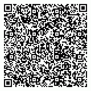 vCard 79867700625