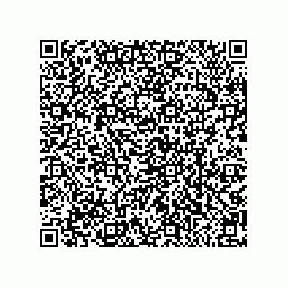 vCard 79868880133