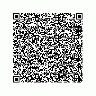 vCard 79868880294