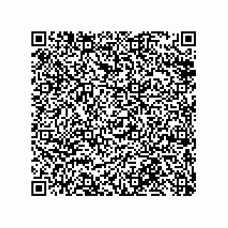 vCard 79868880320