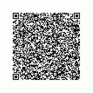 vCard 79868880381