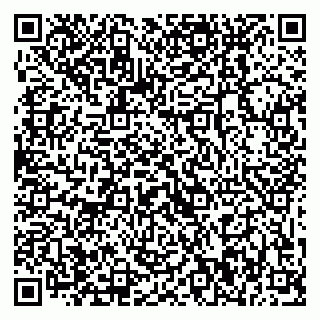 vCard 79869000933