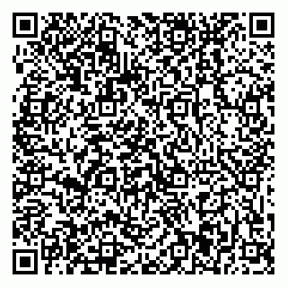 vCard 79869001041