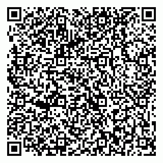 vCard 79869002381