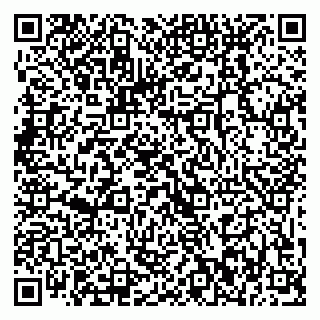 vCard 79869002913