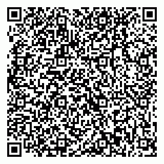 vCard 79869003817