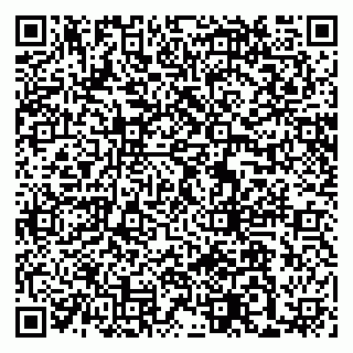 vCard 79869005133