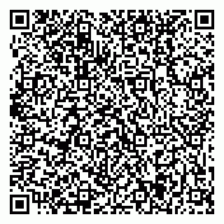 vCard 79869005203