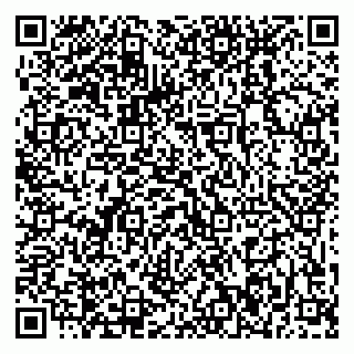 vCard 79869006013