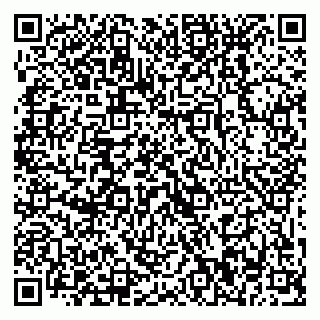 vCard 79869010533