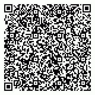 vCard 79869013387