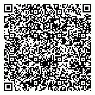 vCard 79869013403
