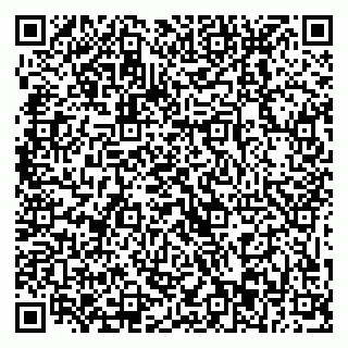 vCard 79869013405