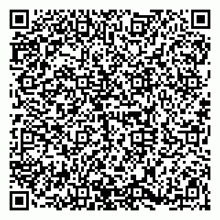 vCard 79920300003