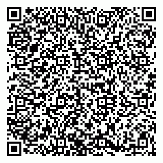 vCard 79920300004
