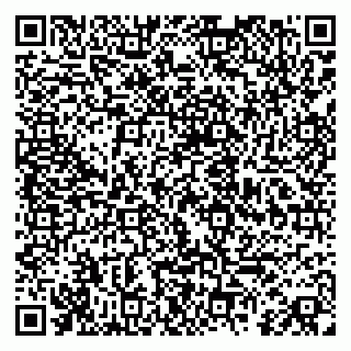 vCard 79920300013