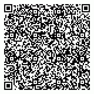 vCard 79920300017