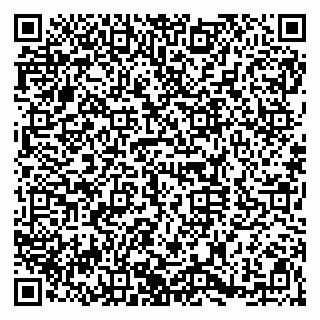 vCard 79920300041