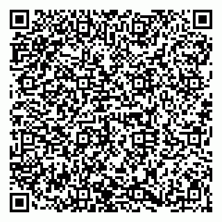 vCard 79920300095