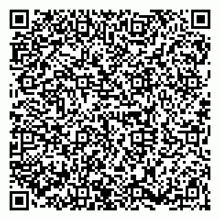vCard 79920300138