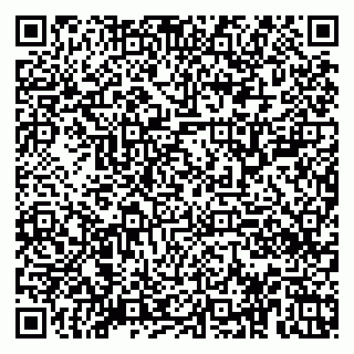 vCard 79920300204