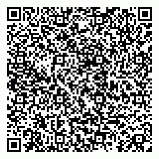 vCard 79920300209