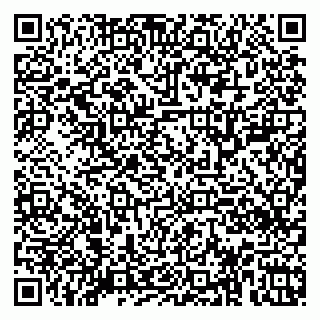 vCard 79920300211