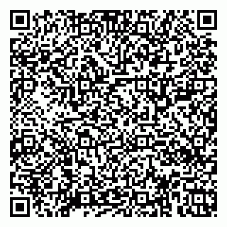 vCard 79920300258